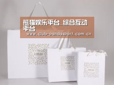 项目名称十一