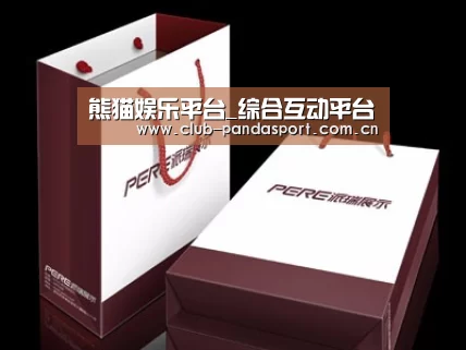 项目名称十二