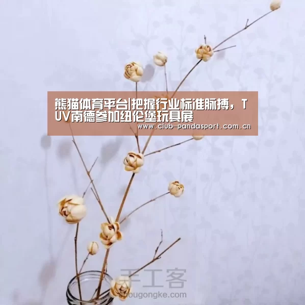 熊猫体育客户端